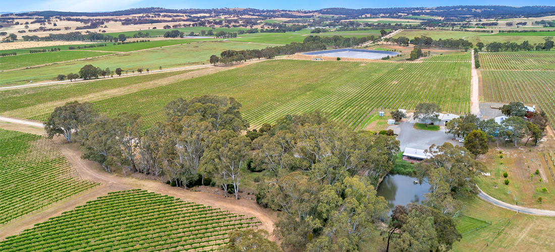 Hill River Clare Estate aerial view